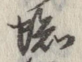 位置定マレル蜘
