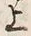 𡨸又