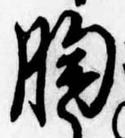 位置定マレル胸