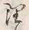 字理