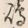 Character 淡