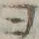 𡨸ヨ