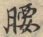 Located 腰