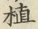 文字 植