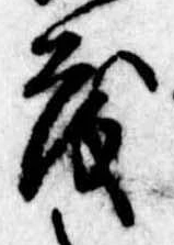 已定位茂