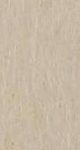 字舎