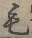 位置定マレル毛