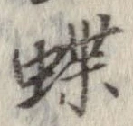 位置定マレル蝶