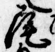 Located 尾