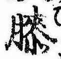 已定位膝