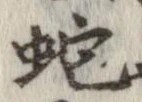 位置 確認된 蛇