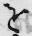 文字 書