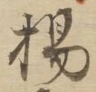 已定位楊