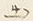 文字出