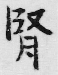 文字腎