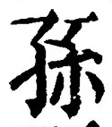 Character 孫