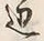 Chữ 辺