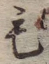 位置定マレル毛