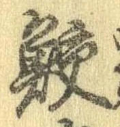 位置 確認된 鮫