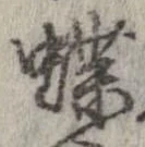 位置定マレル蝶