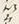 Character 扇