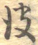 皮の位置