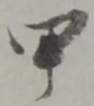 Character 甲
