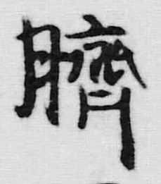 文字臍