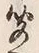 Chữ 聞