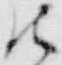 「被」字