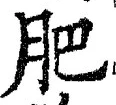Chữ 肥