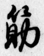 筋の位置