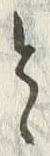 文字皮