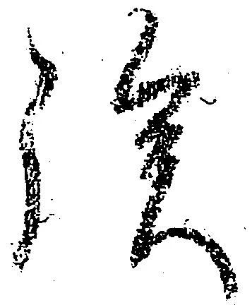 位置定マレル族