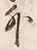 Character 外