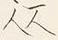 文字 女