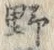 文字 野