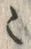 字ヽ