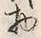 Character 物