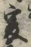 㐌定位爰