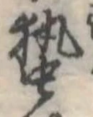 位置 確認된 蟄