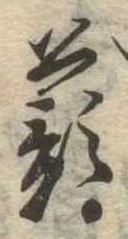 已定位蕷