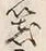 文字笑