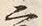 字二