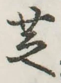 位置 確認된 芝