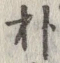 朴の位置