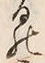 「ゐ」字
