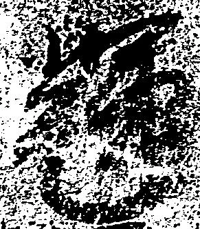 輝 위치 확인됨