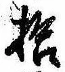 已定位拾