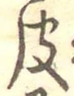 皮の位置